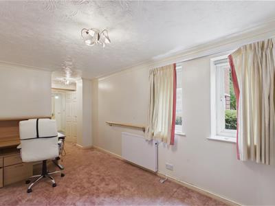 Picture 6